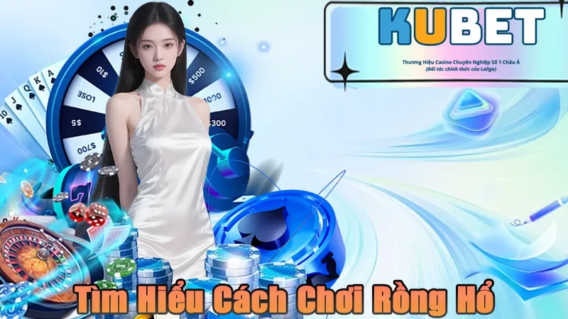 Tìm hiểu cách chơi rồng hổ đơn giản
