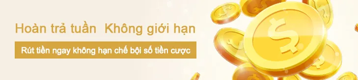 Hoàn trả tuần không giới hạn