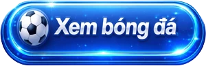 xem-bong-da-new-3
